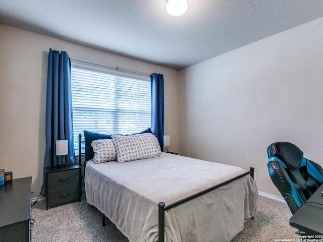 542 Snowy Egret, San Antonio, TX 78253 - bedroom featuring baseboards, carpet floors, and a textured ceiling