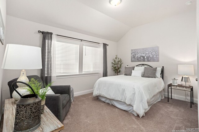 11206 Coppola, San Antonio, TX 78254 - bedroom featuring baseboards, lofted ceiling, and carpet floors