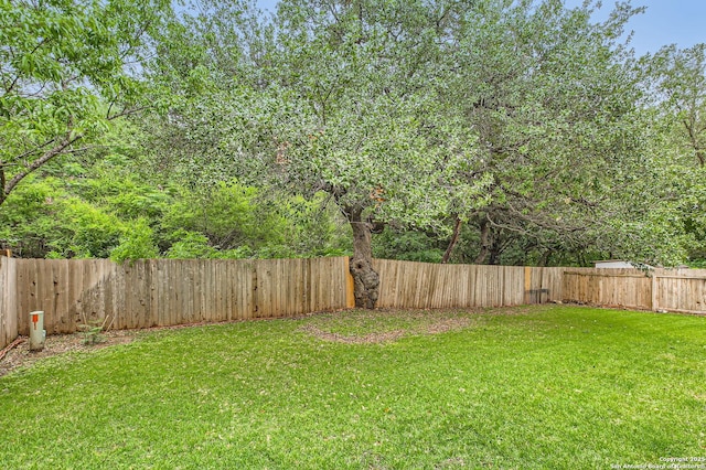 view of yard with a fenced backyard