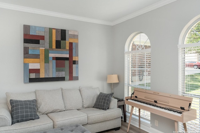 21707 Beaver Bnd, San Antonio, TX 78258 - living room featuring wood finished floors and ornamental molding