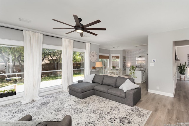 21707 Beaver Bnd, San Antonio, TX 78258 - living room featuring ornamental molding, a ceiling fan, wood finished floors, and plenty of natural light