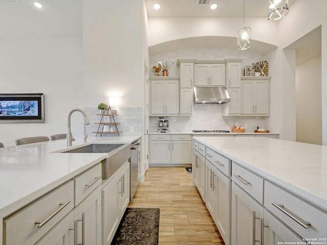 24742 Para Siempre, San Antonio, TX 78261 - kitchen with stainless steel dishwasher, decorative backsplash, light wood-type flooring, under cabinet range hood, and a sink