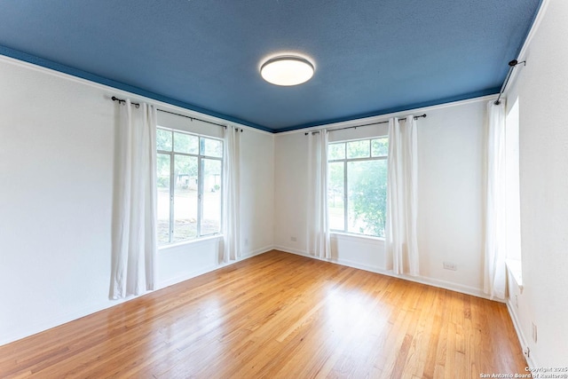 empty room featuring baseboards, a healthy amount of sunlight, and light wood-style flooring