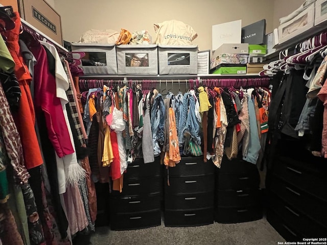 spacious closet with carpet floors