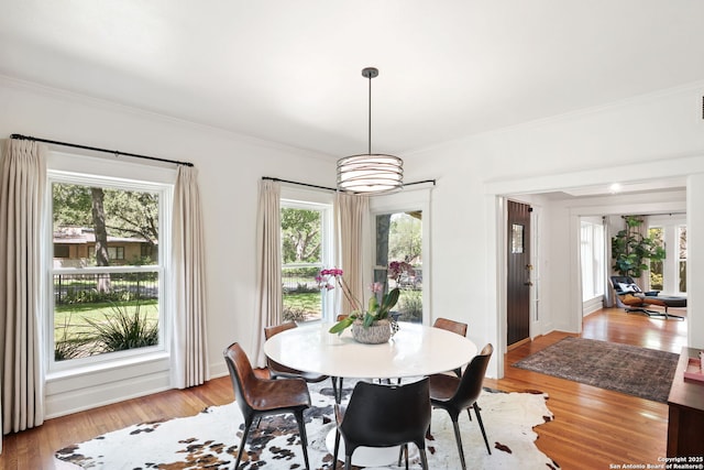204 Parklane, Olmos Park, TX 78212 - dining area featuring healthy amount of natural light, crown molding, and light wood-style floors