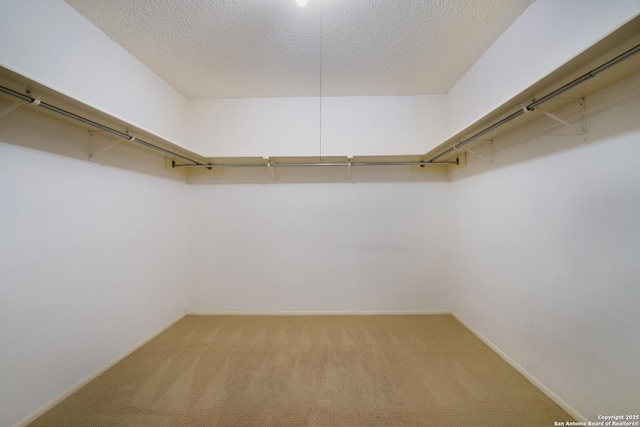 6635 Meadow Dawn, Converse, TX 78109 - walk in closet featuring light colored carpet