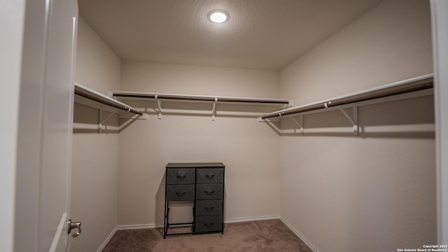 walk in closet with carpet