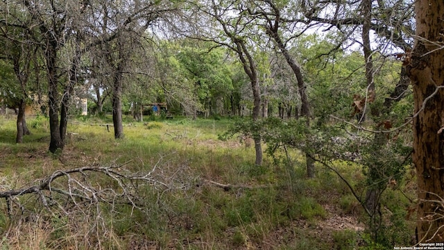 TBD Post Oak, Floresville, TX 78114