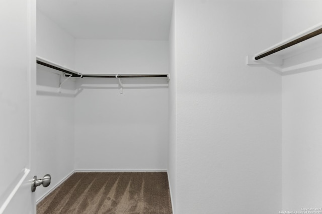 spacious closet with carpet flooring