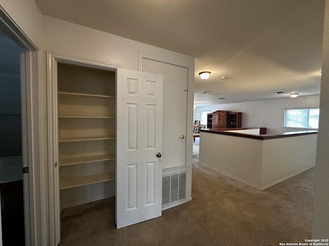 9528 Braun, San Antonio, TX 78254 - closet with visible vents