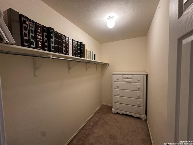 9528 Braun, San Antonio, TX 78254 - walk in closet with carpet
