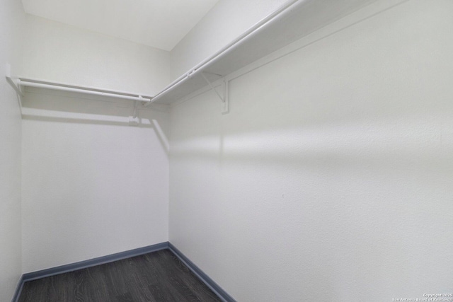 walk in closet with dark wood finished floors