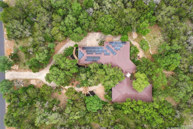 bird's eye view