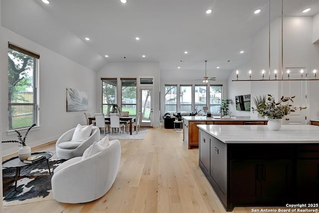 kitchen with light wood-style floors, a healthy amount of sunlight, and open floor plan