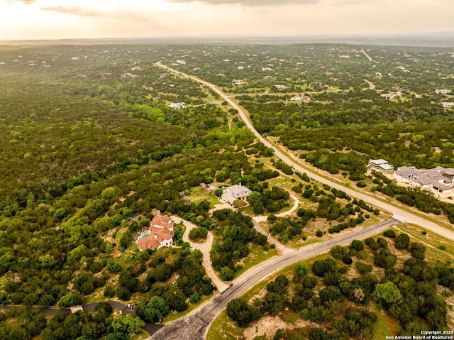 bird's eye view with a forest view