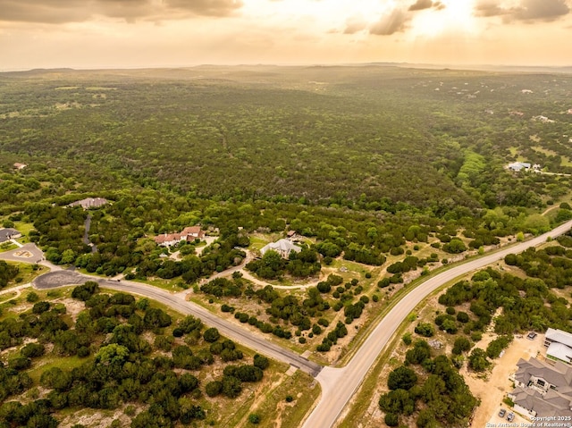 aerial view at dusk with a forest view