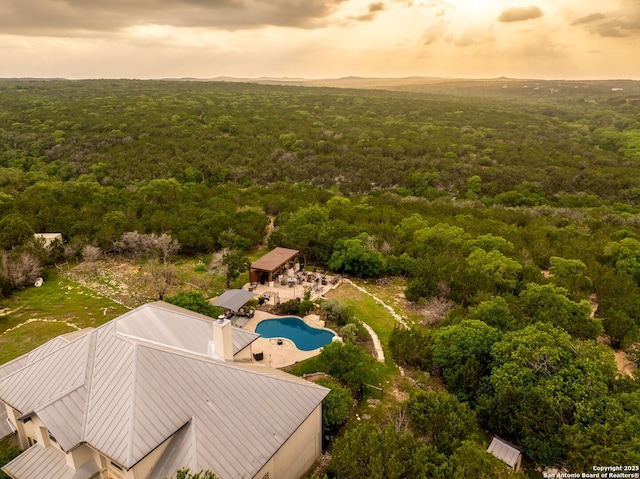 birds eye view of property featuring a forest view