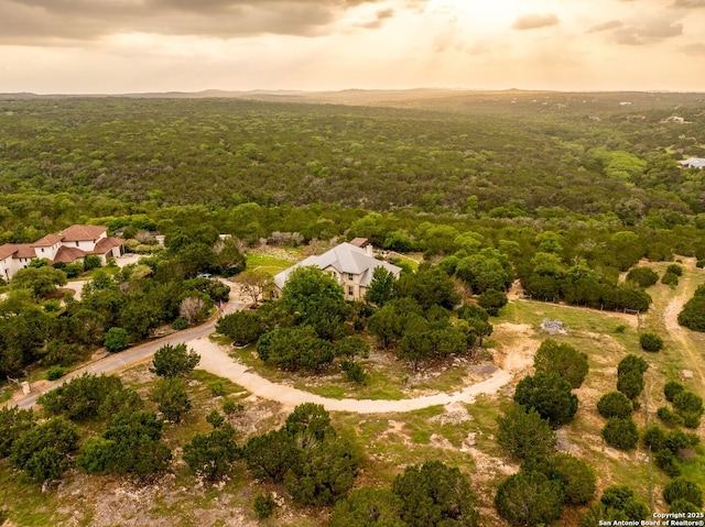 bird's eye view with a forest view