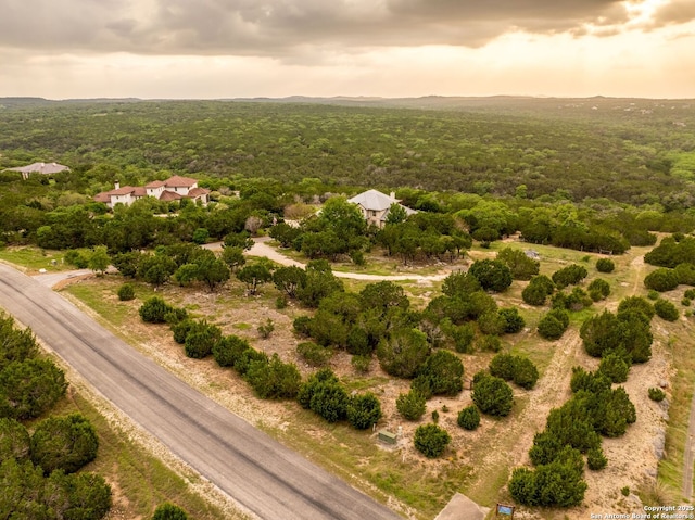 birds eye view of property featuring a wooded view