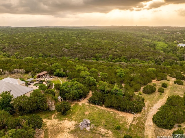 drone / aerial view with a forest view