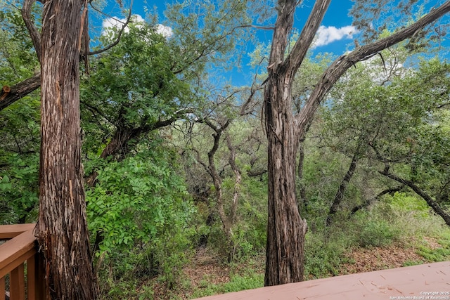 view of nature with a view of trees