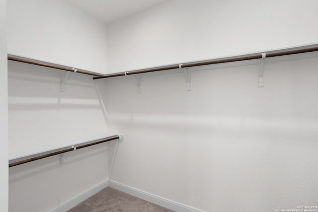 spacious closet featuring light colored carpet