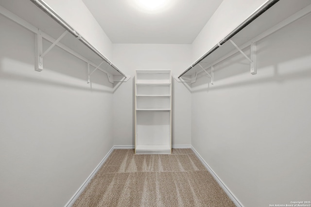 walk in closet with carpet