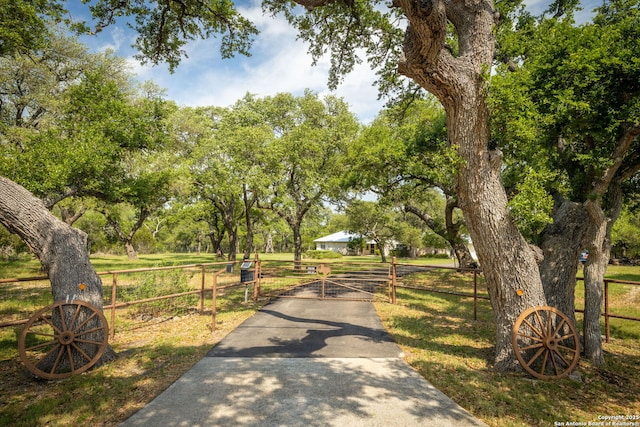 view of road featuring a gate, aphalt driveway, and a gated entry