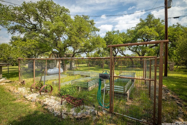 view of yard with a garden