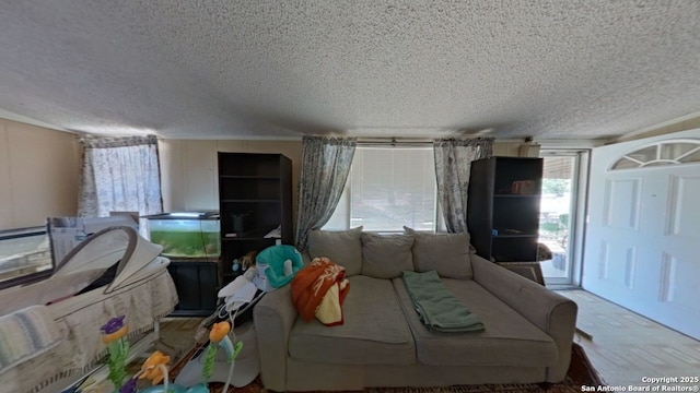 living room featuring a textured ceiling and wood finished floors