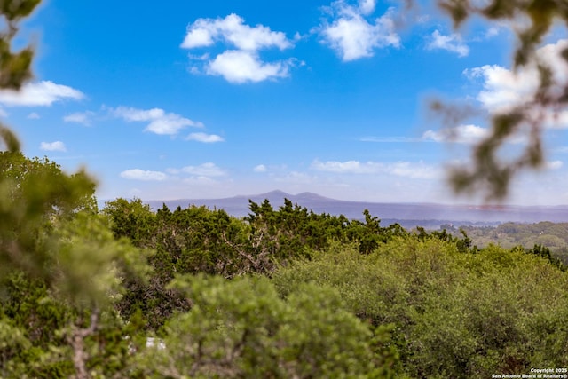 property view of mountains featuring a forest view