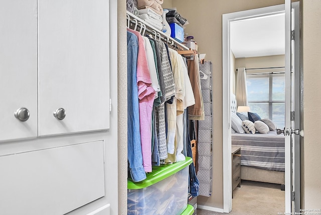 spacious closet featuring carpet flooring