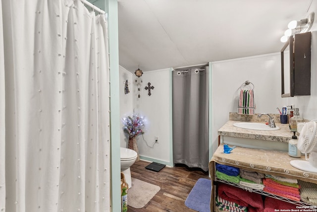 bathroom featuring wood finished floors, toilet, and vanity