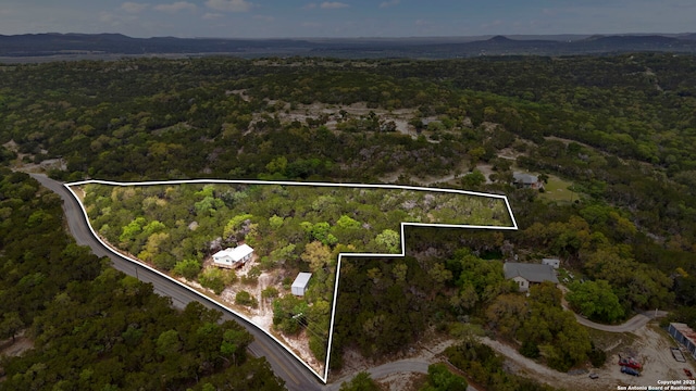 aerial view with a forest view