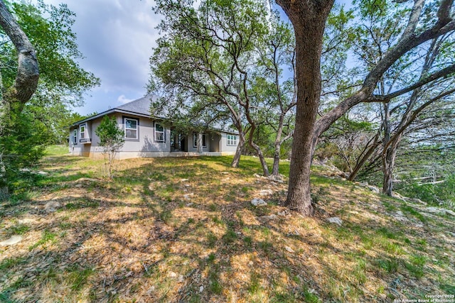 356 Warbler, Spring Branch, TX 78070 - view of yard
