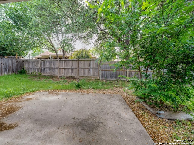 view of yard featuring a patio and a fenced backyard