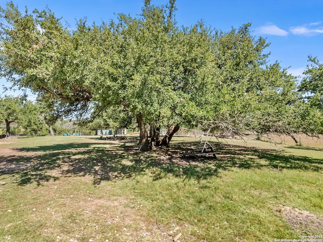 11890 Ranch Road 965, Fredericksburg, TX 78624 - view of yard