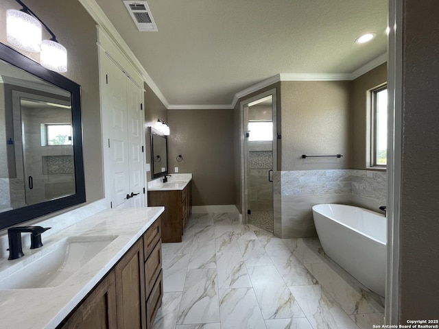full bathroom featuring a shower stall, a sink, visible vents, two vanities, and a freestanding bath