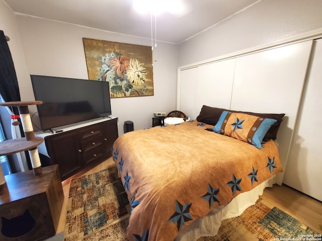 bedroom featuring wood finished floors and a closet