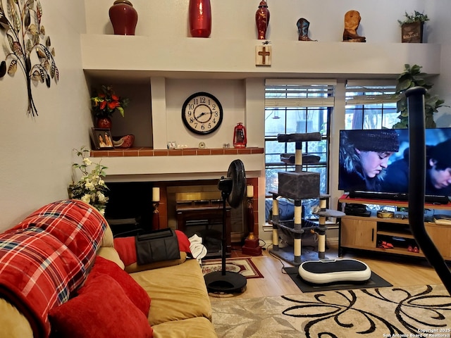 living room featuring wood finished floors