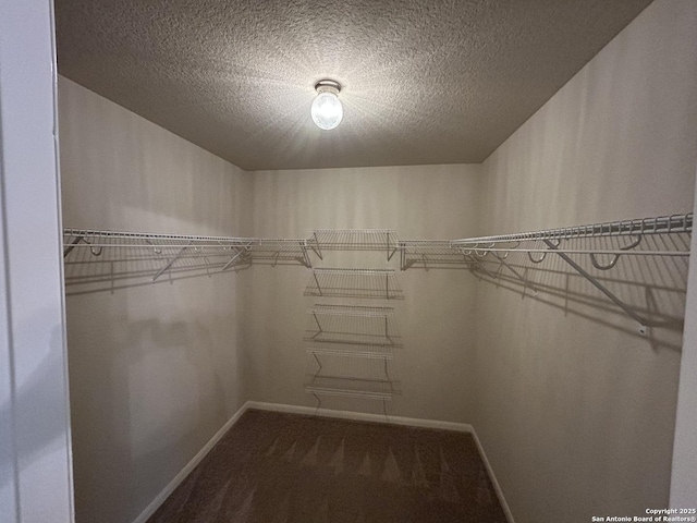 walk in closet with carpet