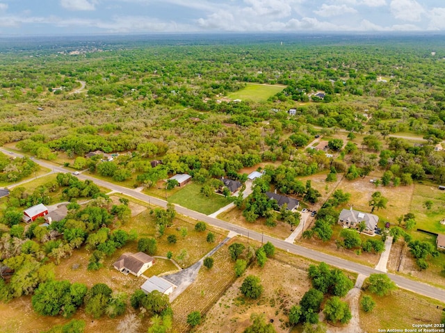 bird's eye view with a view of trees