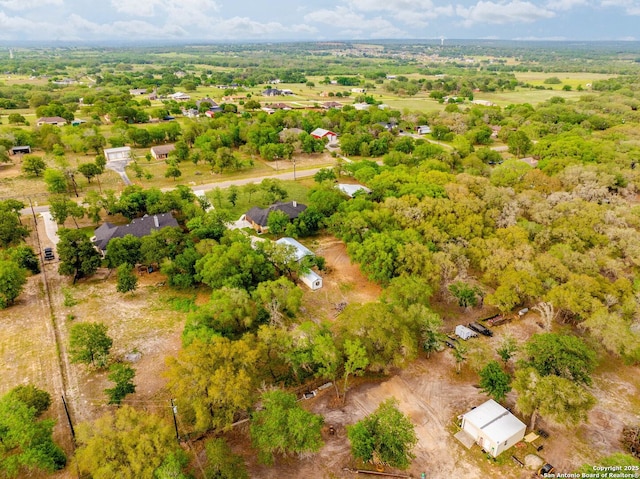 bird's eye view