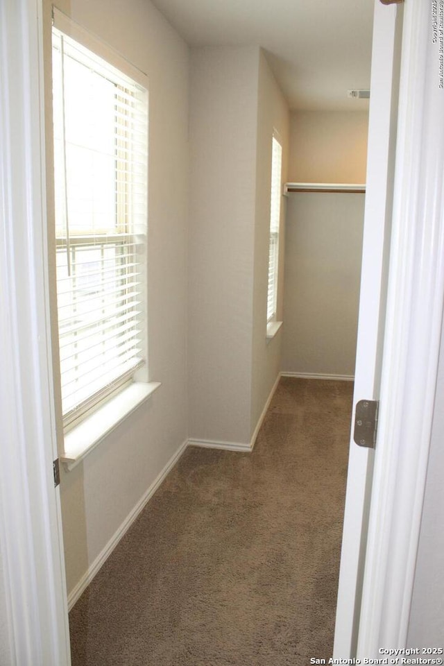 spacious closet with carpet flooring and visible vents