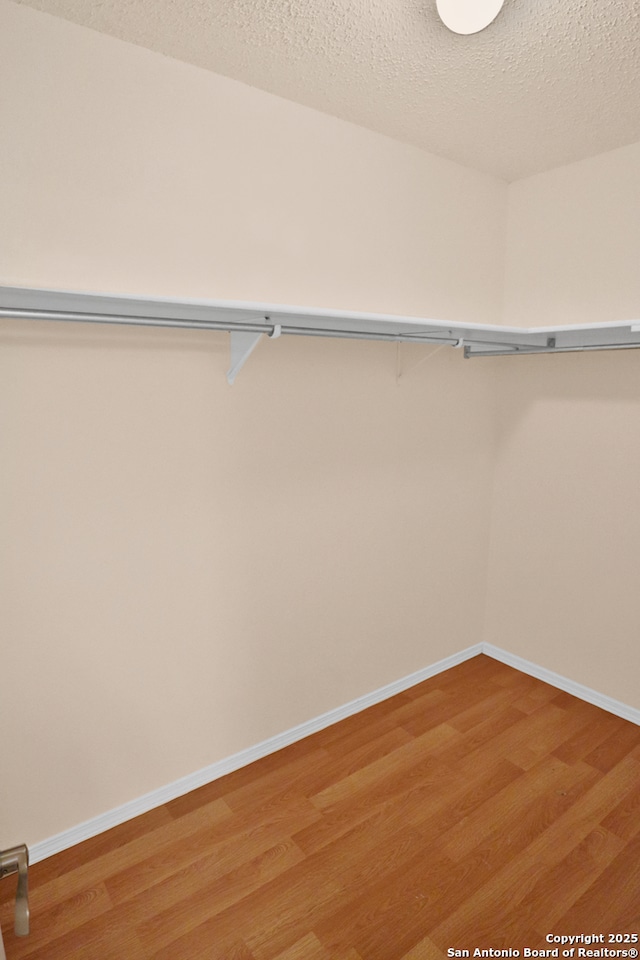 walk in closet with light wood-type flooring