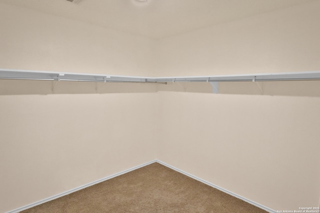 spacious closet with carpet