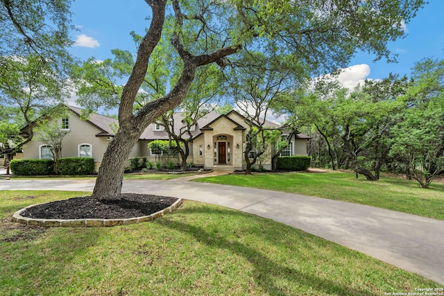 view of front of house with curved driveway, a front yard, and stucco siding