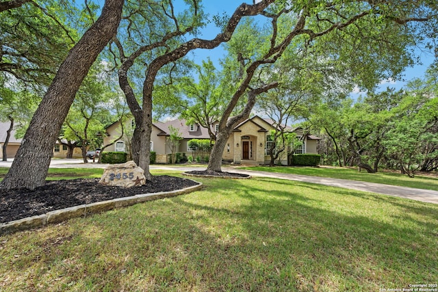 view of front facade featuring a front yard, stucco siding, and curved driveway