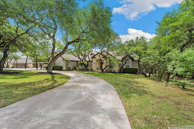 view of front of home featuring a front yard, stucco siding, and curved driveway