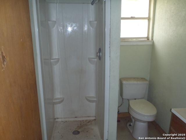 full bathroom with toilet, vanity, and a stall shower